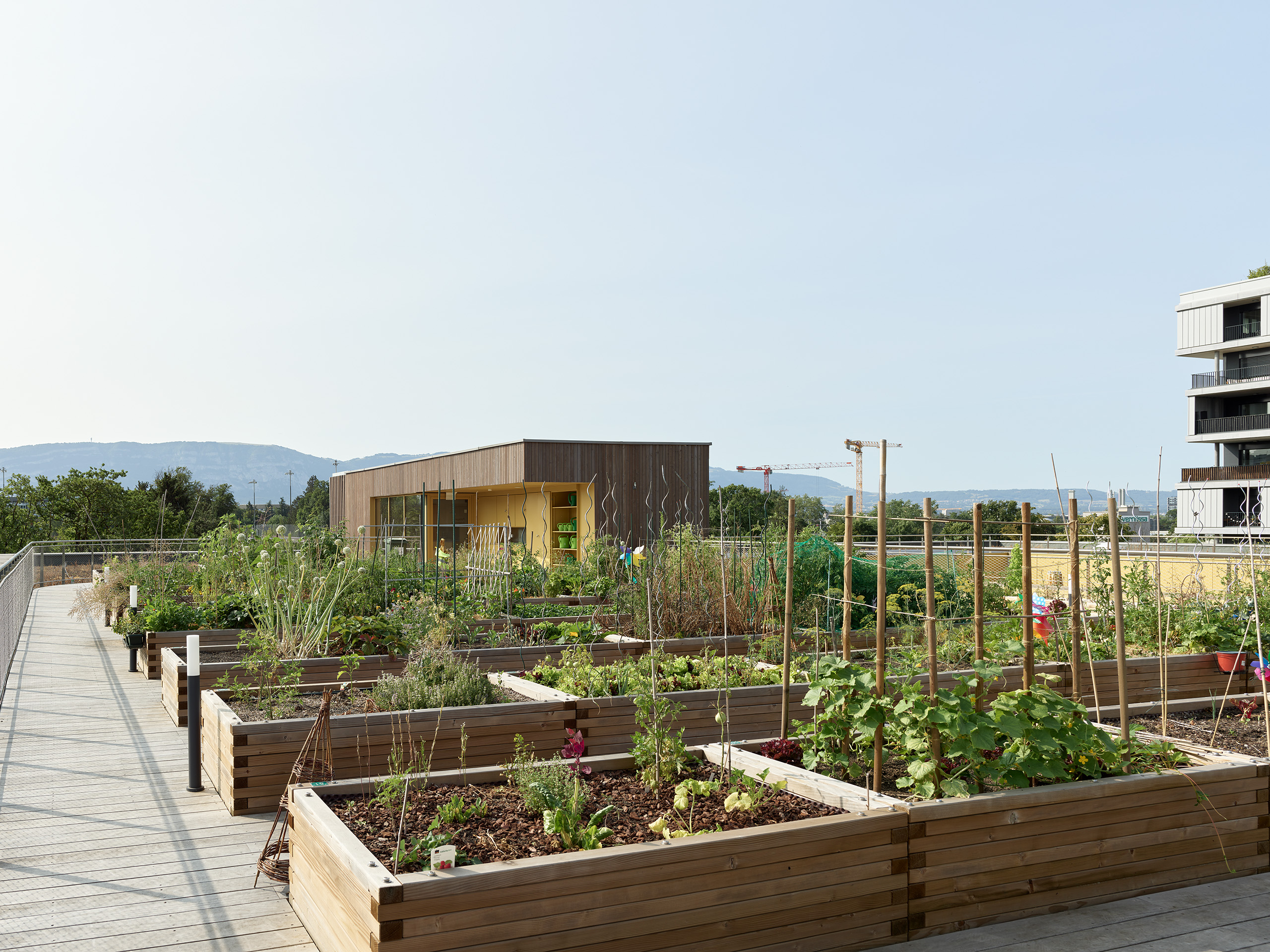 Ahp0090 AIQ4 017951 J2560